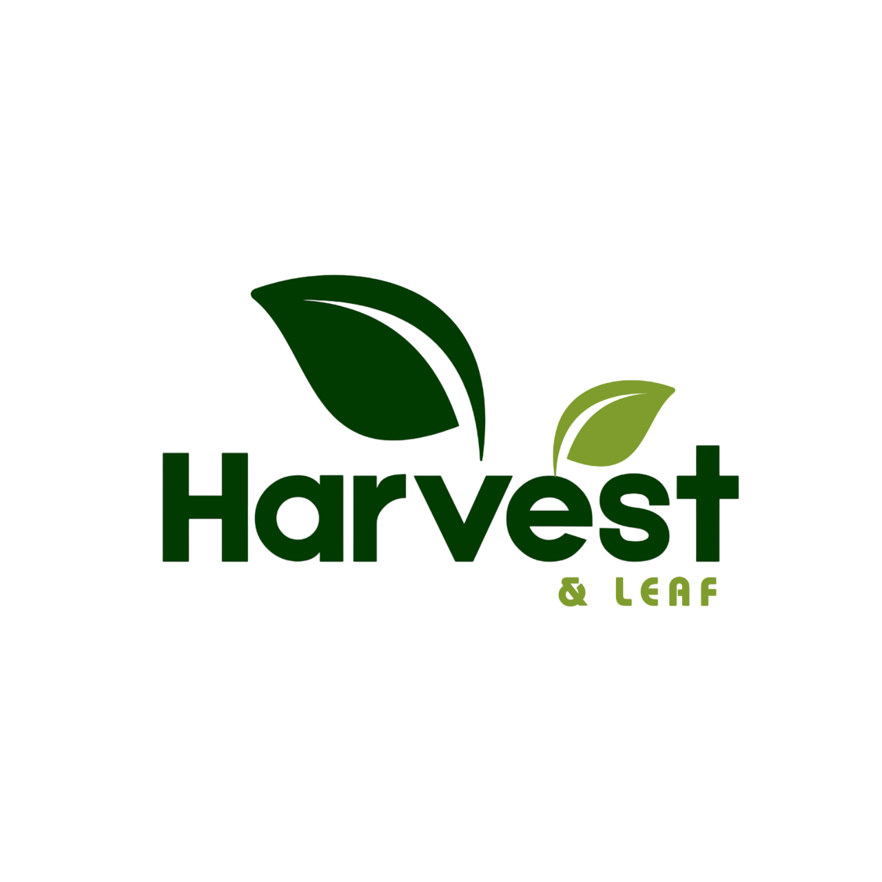 Premium Fresh Okra Wholesalers | Harvest & Leaf Global Export
