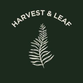 Premium Chilli Growers in UK Solutions by Harvest and Leaf