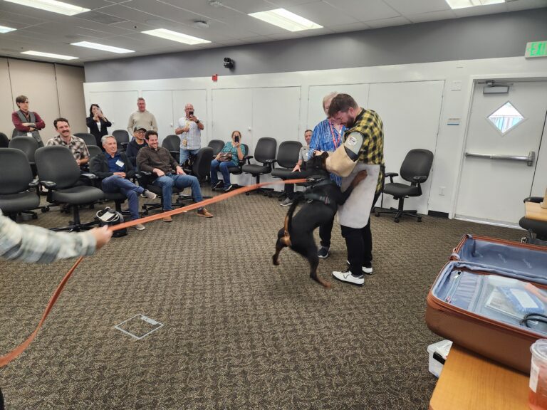 The Package Carrier’s Guide to Dog Bite Prevention: Delivering Safely: