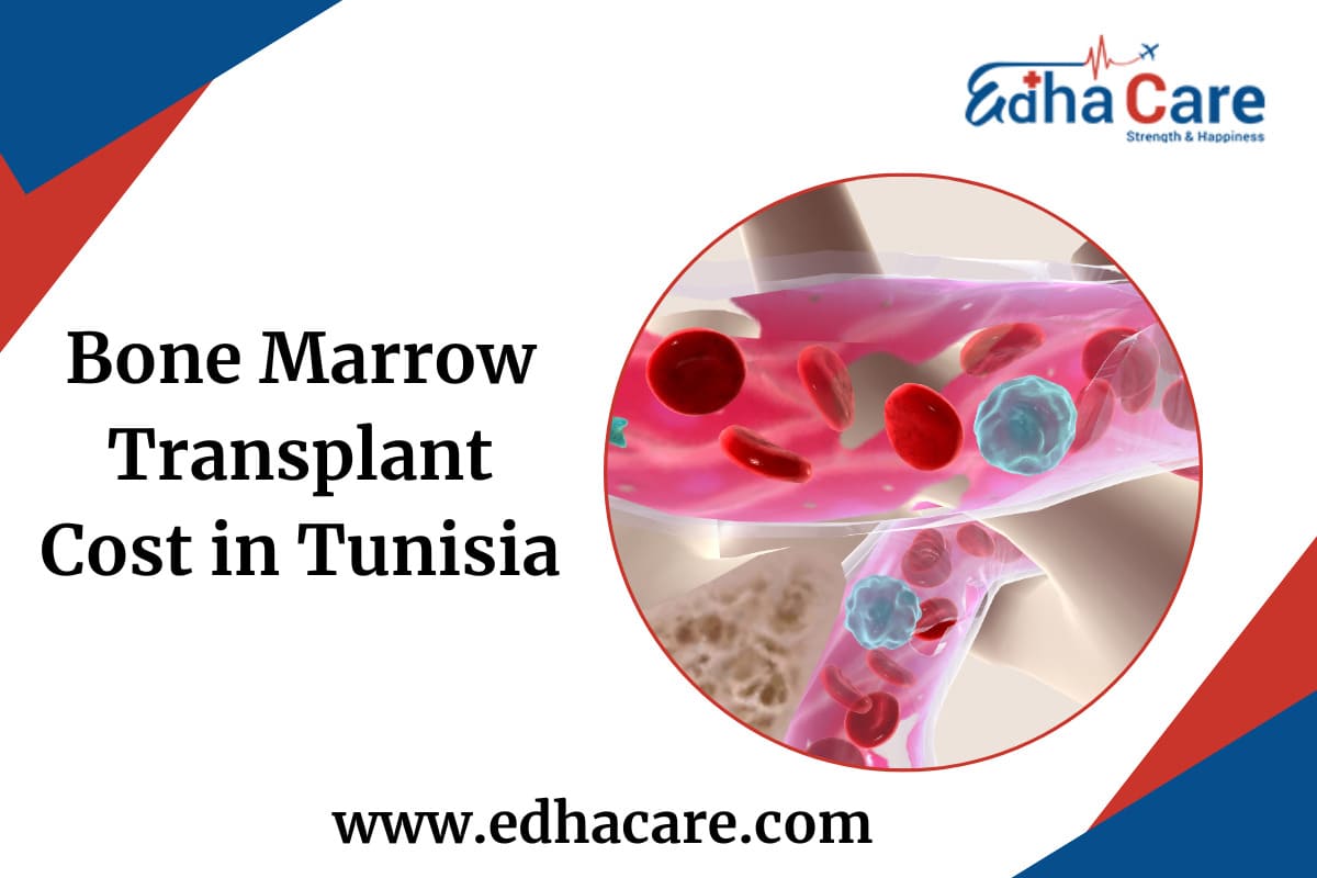 Bone Marrow Transplant Cost in Tunisia