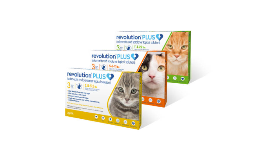 Revolution Plus for Cats – Powerful Flea & Tick Protection