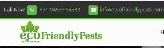 Pest Control Services in Mumbai – 100% Hygienic & Eco-Friendly | EcoFriendlyPests