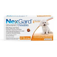 NexGard Flea & Tick Treatment for Dogs